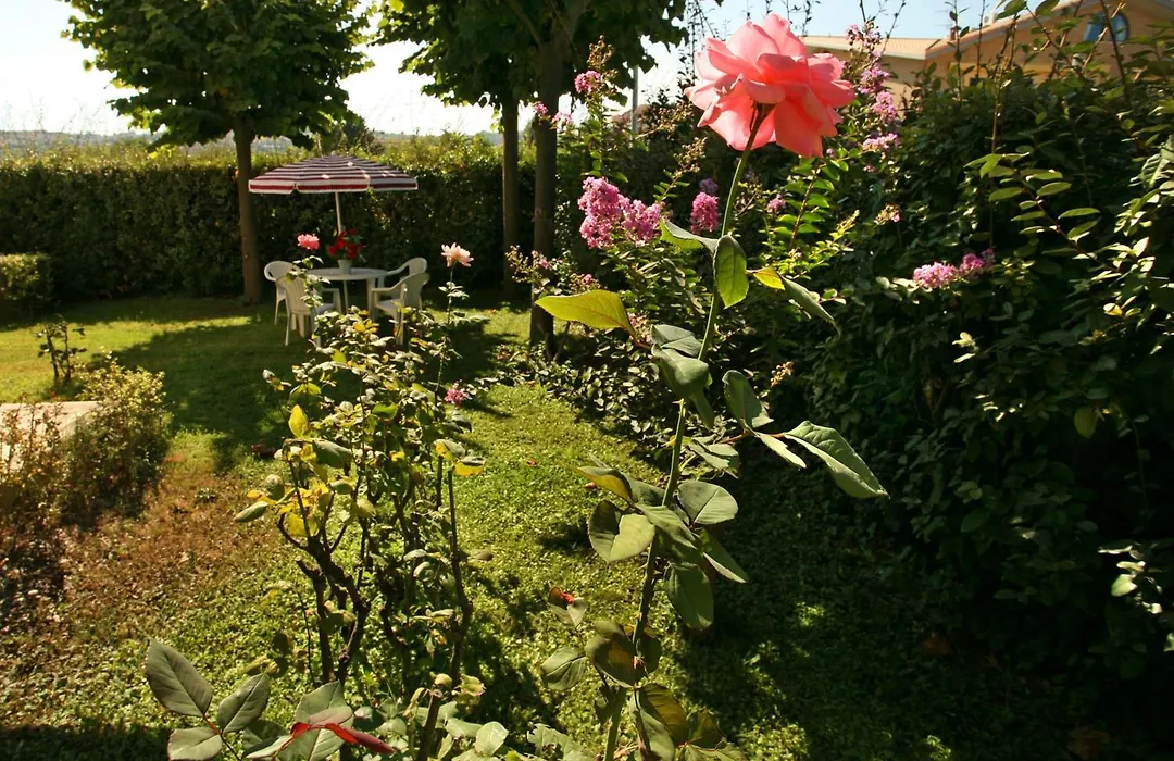 B&B Il Parco Dei Pini-1