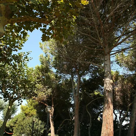 B&B Il Parco Dei Pini-3